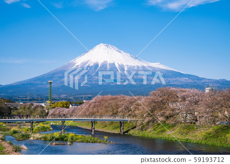Mt.Fuji and Sakura Mt.Fuji and Sakura 59193712