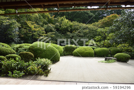 Shisendo Shisendo 59194296