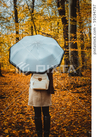 Female with rotate white umbrella in the autumnal golden colored forest path Female with rotate white umbrella in the autumnal golden colored forest path 59194797