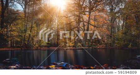 Autumn sun rays sunbeam appear trought the beautiful tree branches and leaves in a city park with a Autumn sun rays sunbeam appear trought the beautiful tree branches and leaves in a city park with a 59194809