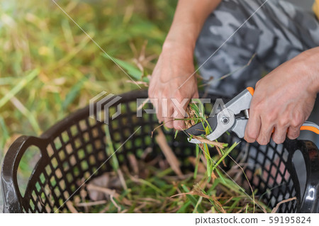 Close up hand of asian man holdling scissors for Close up hand of asian man holdling scissors for 59195824