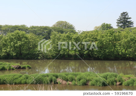 Scenery of Gongen-do of fresh green Scenery of Gongen-do of fresh green 59196670