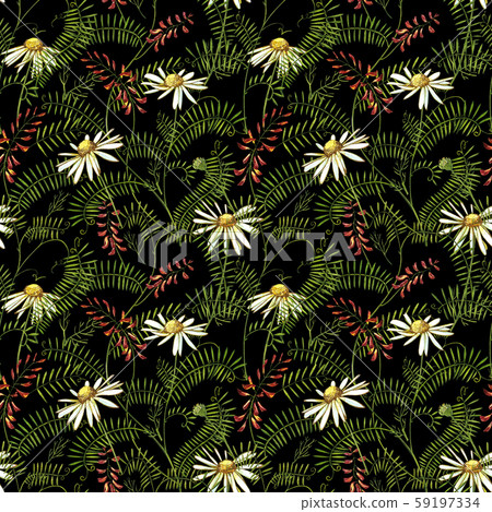 Wildflowers medicinal Tufted Vetch watercolor illustrations. Isolated on the white background 59197334