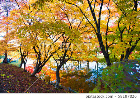 Autumn leaves in Shimizu Park 59197826