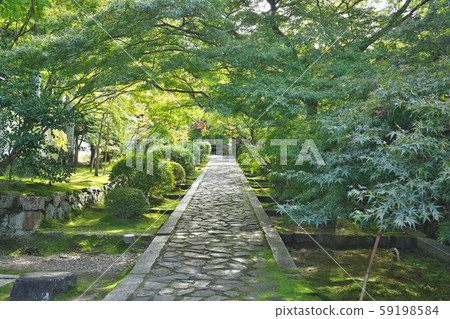 [留念市立寺]京都府京田邊市Karinouchi 59198584