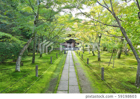 [Reunen Ichikuji Temple] Karinouchi, Kyotanabe City, Kyoto Prefecture 59198603