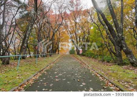Asahigaoka Park 59198886