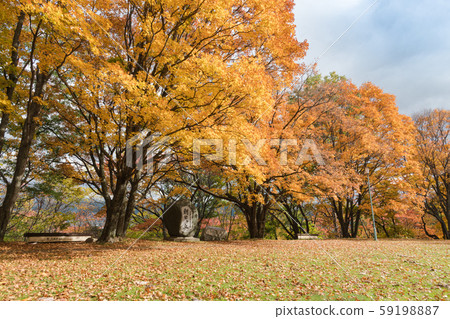 Asahigaoka Park 59198887