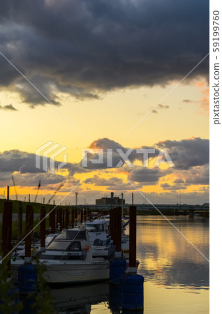 石川縣小松市河口附近的Susuki圖像 59199760