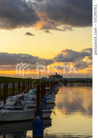 石川縣小松市河口附近的Susuki圖像 石川縣小松市河口附近的Susuki圖像 59199761