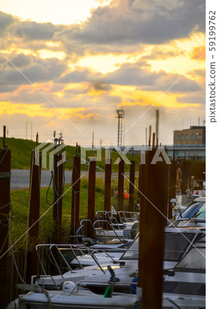 石川縣小松市河口附近的Susuki圖像 59199762