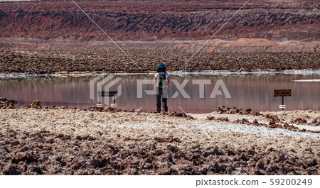 Tourist looking at signs banning trespassing and bath 59200249