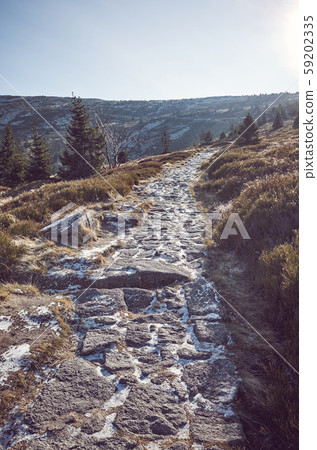 Mountain path in the frosty morning. Mountain path in the frosty morning. 59202335