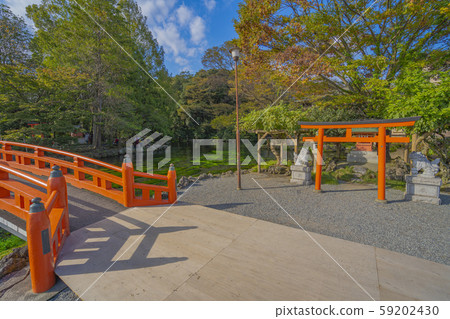 藤宮淺間大社小池池 藤宮淺間大社小池池 59202430