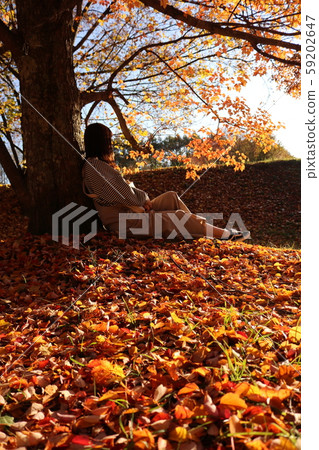 Autumn and women 59202647