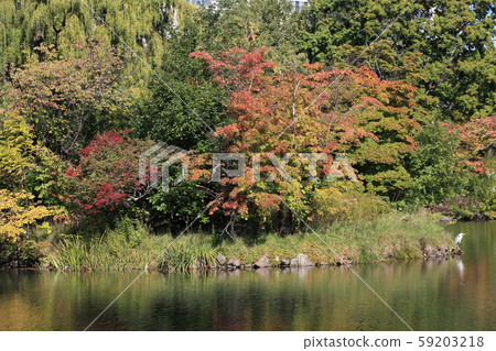 札幌中島公園在秋天 札幌中島公園在秋天 59203218