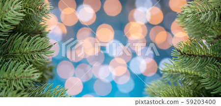 christmas tree christmas tree 59203400