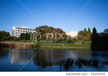 Musashi Urawa Shirahama Marsh 59203565