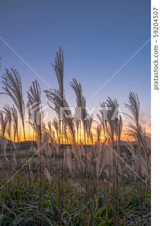 Autumn evening Autumn evening 59204507