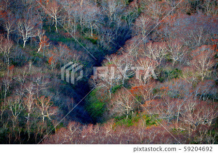 Akita Komagatake 59204692