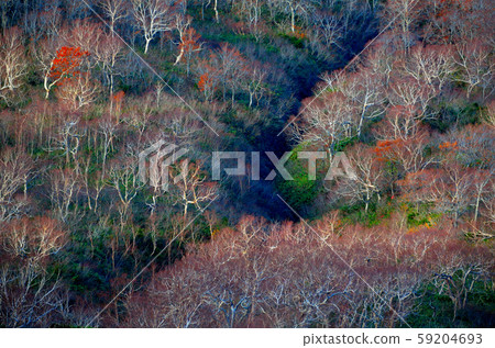 秋田Komagatake 秋田Komagatake 59204693