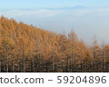 Yatsugatake larch forest and sea of clouds 59204896