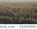 Yatsugatake larch forest 59204900