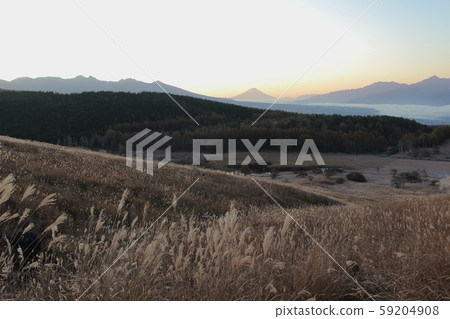 從霧谷濕地植物群落看富士山 59204908