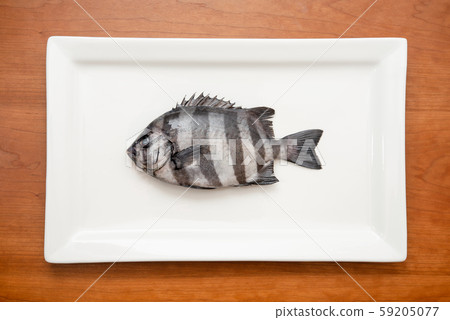 Sea bream 59205077