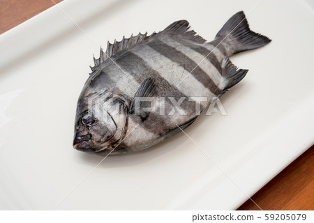 Sea bream Sea bream 59205079