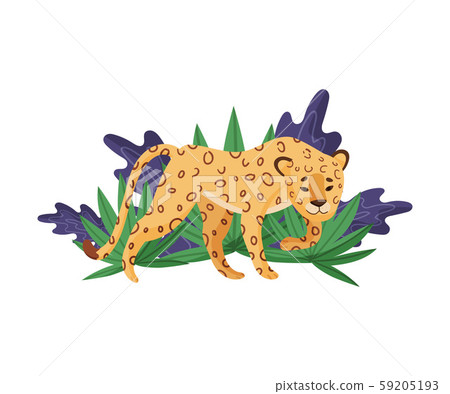 Dangerous African Animal Pussyfooting Towards Its Victim Vector Illustration Dangerous African Animal Pussyfooting Towards Its Victim Vector Illustration 59205193