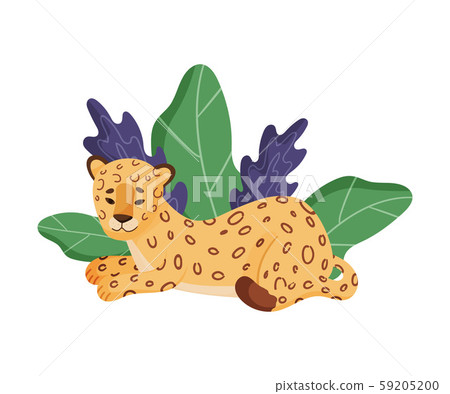 Spotted Leopard Sitting Resting Near Tropical Leaves Vector Illustration Spotted Leopard Sitting Resting Near Tropical Leaves Vector Illustration 59205200