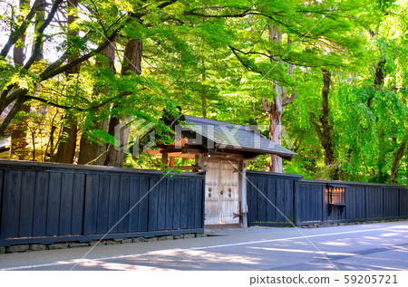 Fresh green Kakunodate 59205721