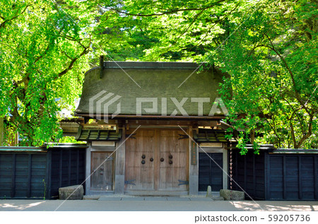 Fresh green Kakunodate 59205736