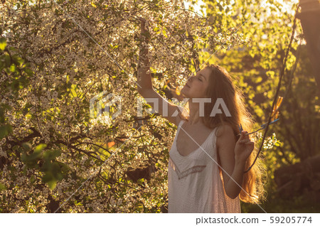 Girl in white dress among cherry flowers in sunset 59205774