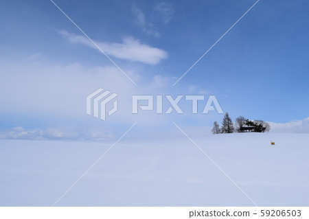 Kan農場 Kan農場 59206503