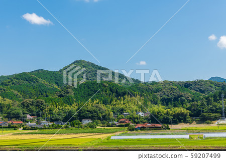 Idyllic rural scenery with summer blue sky [Yamaguchi Prefecture] 59207499