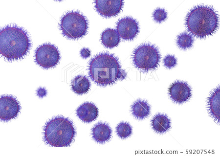 病毒的插圖（計算機圖形） 59207548