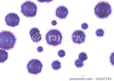 病毒的插圖（計算機圖形） 59207549