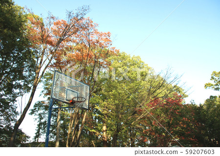 籃筐,宇都宮,To木,平井工業園區 籃筐,宇都宮,To木,平井工業園區 59207603