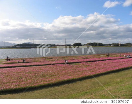 Akisakura Onga River Akisakura Onga River 59207607