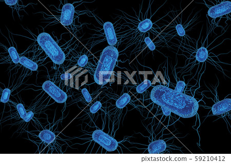 Illustration of E. coli (computer graphic) Illustration of E. coli (computer graphic) 59210412