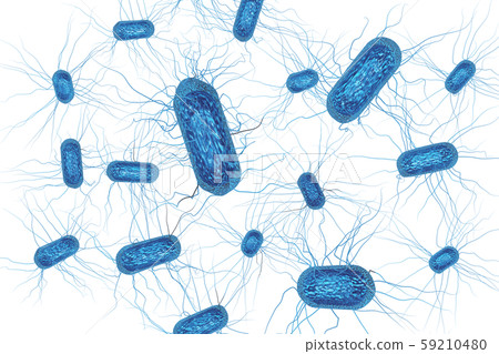 Illustration of E. coli (computer graphic: transparent material) Illustration of E. coli (computer graphic: transparent material) 59210480