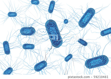Illustration of E. coli (computer graphic: transparent material) Illustration of E. coli (computer graphic: transparent material) 59210481