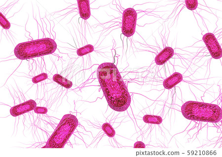 Illustration of E. coli (computer graphic: white background) 59210866