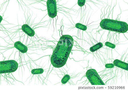 Illustration of E. coli (computer graphic: white background) 59210966