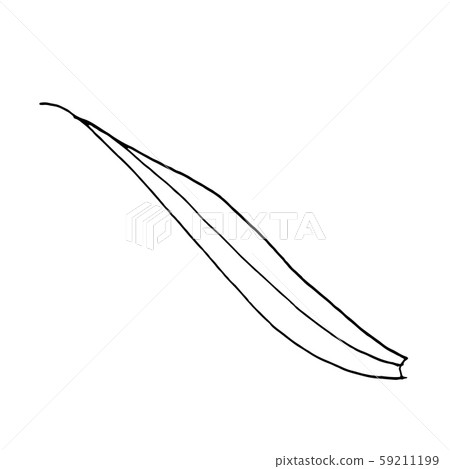 Vector blade of grass. Black and white engraved ink art. Isolated wheat illustration element. 59211199