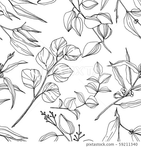 Vector Eucalyptus tree leaves jungle botanical. Black and white engraved ink art. Seamless 59211340