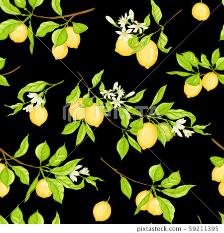 Lemon tree branch with lemons - Stock Illustration [59211395] - PIXTA