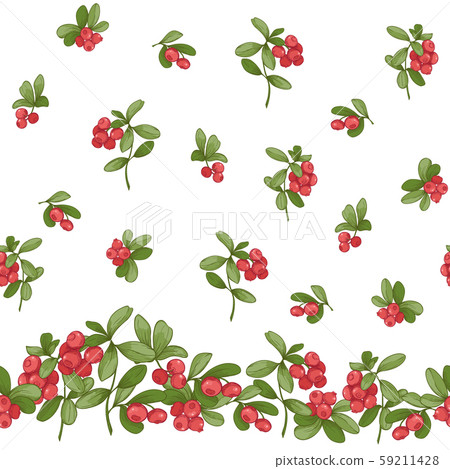 Cranberry. Seamless pattern Cranberry. Seamless pattern 59211428